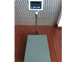 上海B10系列500公斤电子台秤
